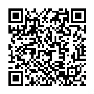 从一开始林烽是拒绝下午逃课来帮周芸寻找黑心工厂的二维码生成