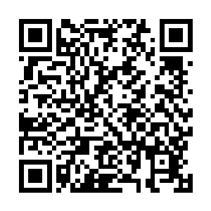 从一开始的硬碰硬转化成以躲闪为主攻击为辅的拖延战术二维码生成