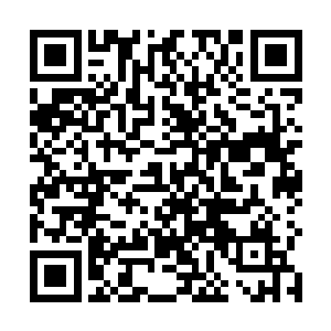 从下方倾泻出一道金色的能量从陈凌的天灵盖直接灌入二维码生成