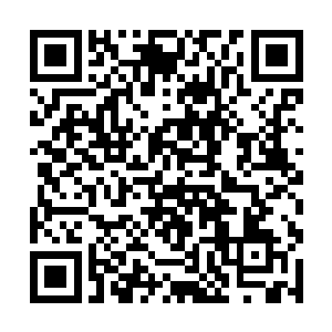 从世俗界中的一个后天修士走到如今化神后期的境界二维码生成