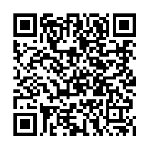 从今天开始你们都到我符咒世界的加速空间修炼二维码生成
