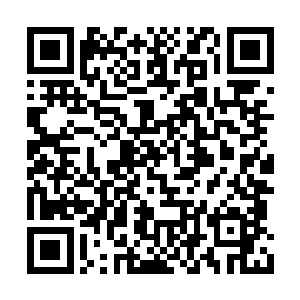 从今天开始每天你都会像在活在监狱中一样痛苦二维码生成