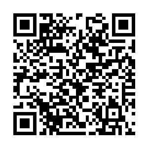 从他们身上的衣服上面的标记龙傲天也能够才出来二维码生成