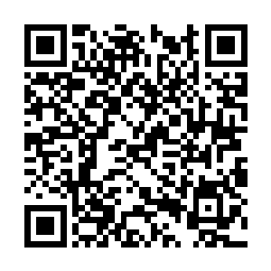 从他们面前忽然横窜出来一头巨大无比的狰狞野兽二维码生成