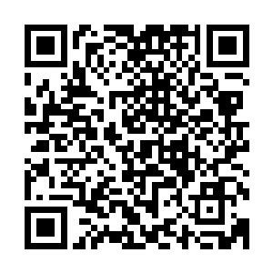 从他的角度正好能看到书房里陆禹正站在临窗的书案挥毫绘画二维码生成