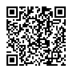 从储物戒指里取出中午几人吃肯德基打包出来的一些东西二维码生成