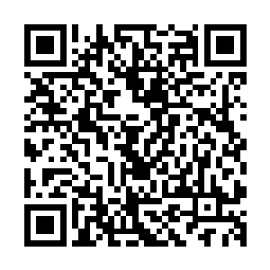 从凌菲发现辣椒并开始用到做菜开始他就是辣椒的忠实拥护者二维码生成