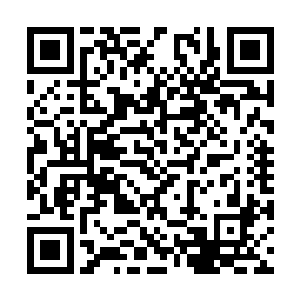 从几个正在滚进掩体的佣兵队员们头顶上打了过去二维码生成