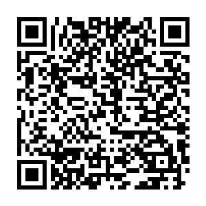 从前方贴地飞掠而来的几道人影便已经将她和墨颜两人团团包围在里面二维码生成