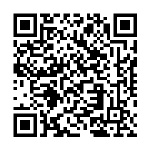 从十几名圣弃界圣帝体内吸纳而來的磅礴生机却不知所踪二维码生成