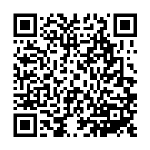 从原本五官模糊的婴儿形态最终化成一个完整的唐劫形象二维码生成