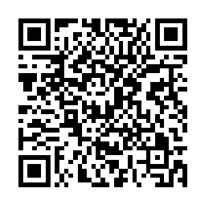 从发现怀孕到现在玉熙已经有大半年没再打五禽戏二维码生成