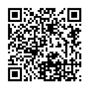 从四合院这边回来之后就一直保持了这么一个样子二维码生成