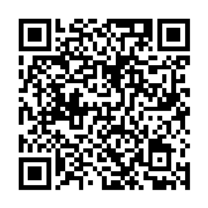 从四面八方正在有着密密麻麻的海族向着这里游动而来二维码生成