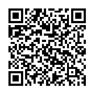 从在车中秦洛咬牙切齿的给人打电话要求调查这件事情就知道了二维码生成