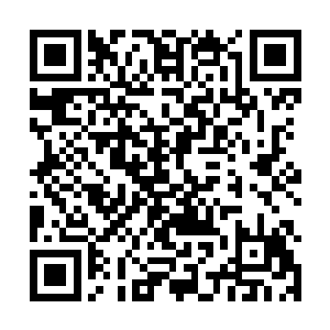 从外面拍完mv回来的戴佩玲不可置信地拿下宽大的墨镜二维码生成