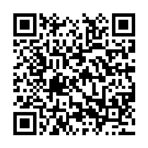 从天罗地网的围剿中逃出――在投票人数高达五千二维码生成