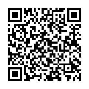 从夭华的神色变化中不难看出夭华下一句会怎么回他二维码生成