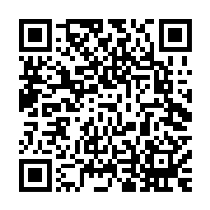 从头到尾都没怎么说话的顺天电视台主持人万重山却突然开口二维码生成