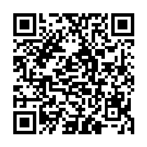 从头到脚仿佛回到最开始时一样重新打量起对面的唐莫来二维码生成