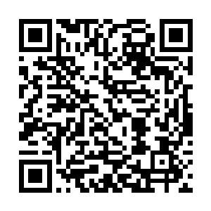 从她半信半疑的眼神中读懂她还未明白他刚才的暗示二维码生成