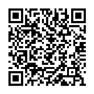 从她喜孜孜的神态中就知道今天她赚的一定不少二维码生成