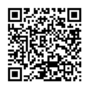 从她母亲那日见墨邪的表情到最近发生的种种来看二维码生成