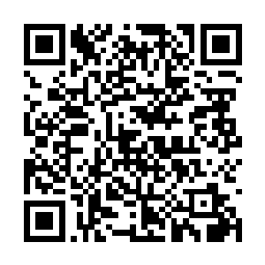 从它们身上获取信息的法子就是让他们回归玉雕城二维码生成