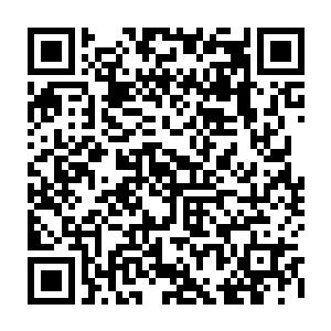 从对方的威能上他们自然能够一下子就分辨出眼前这只混沌兽就是天尊后期巅峰二维码生成
