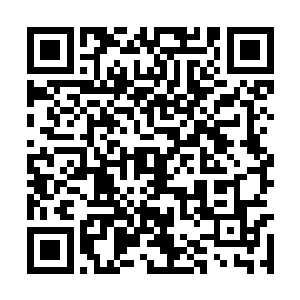 从小到达被人捧着宠着没有收到过丝毫挫折和历练二维码生成