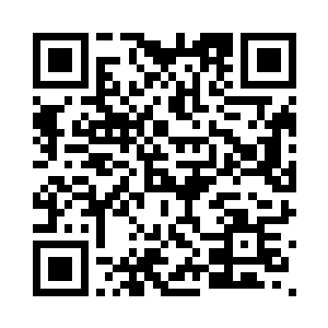 从小龟身上的符箓传递过来的信息二维码生成