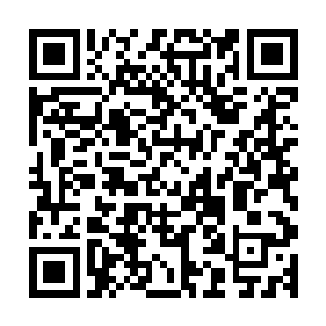 从巴克和陈雷的角度是能看见几乎半躺的那名副驾驶持枪警察二维码生成