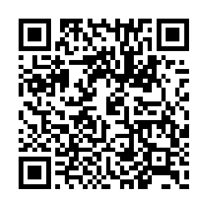 从座落在大地上的那四座古老城池之中冲天飞起二维码生成