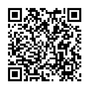 从开始把许紫烟看成一只随时都可以碾死的蚂蚁二维码生成