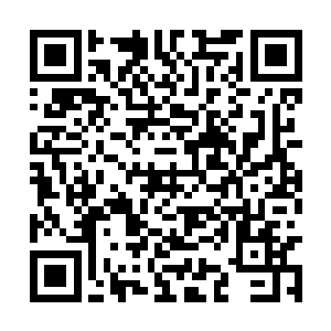从怀中取出费悟的那颗魔神帝符印和符宝袋扔过去二维码生成