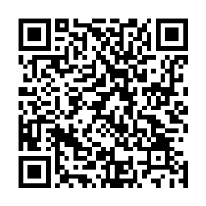 从悬浮山峰内探出了一个巨大的头颅望向了下方的五族修士二维码生成