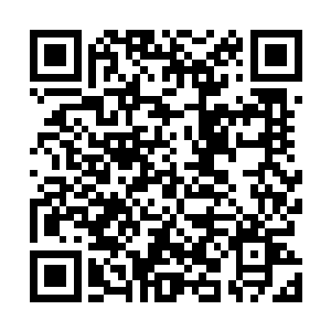 从我知道自己那个本来不应该有任何问题的剧本被卡住了二维码生成