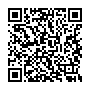 从手边的十个筹码中取出了五个丢在了十三点上二维码生成