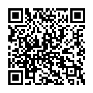 从教皇的表情上他就已经隐隐猜出来了这种情况二维码生成
