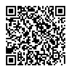 从数千万年来和许紫烟一直星域宗相斗就能够看出乘万里也是一个说一不二之人二维码生成