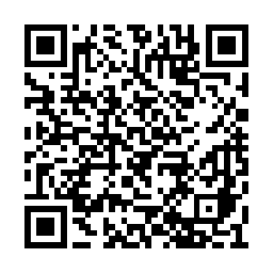 从最初十几尊绝世天才的高阶圣级强者创建之后二维码生成