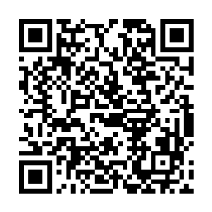 从来不以体型大小和力量的强弱来区分胜利者和失败者二维码生成