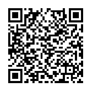从来没有人这么温柔地对待我……自从遇见主人后二维码生成