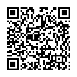 从来没有出过一位地仙六重天的杀入前三强的情况二维码生成