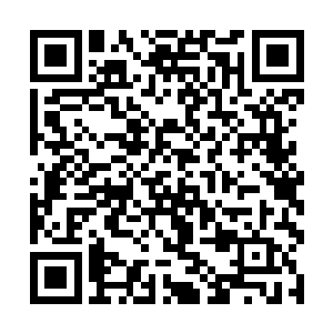 从来没有听说过化神后期修士可以战胜修神期修士的二维码生成