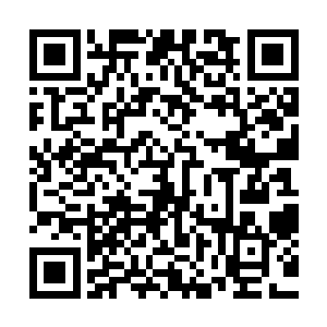 从来都只有高品阶的开天境的小乾坤可以容纳低品阶的开天境二维码生成