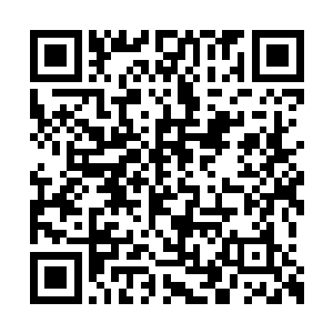 从来都那么镇静的李飘雪的声音中竟然带着恐怖二维码生成