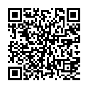 从林萧羽的记忆里风天翔也看到魏家这段时间一直在打压林家二维码生成