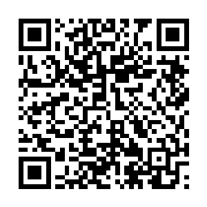 从某种意义上来说这家伙也算是和贝海同过患难了二维码生成