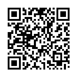 从树冠上方垂下来一道又一道柔软的枝条二维码生成